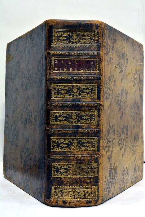 Gallia Vindicata, in qua Testimonis, Exemplisque Gallicanae praesertim Ecclesia qua …