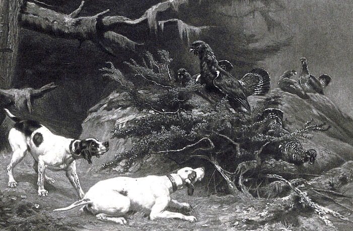 Gravure d'après une peinture de chasse de Jules Gélibert (1834-1916).