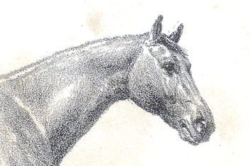 Gravure de cheval du peintre illustrateur Jean Richard Goubie (Paris …