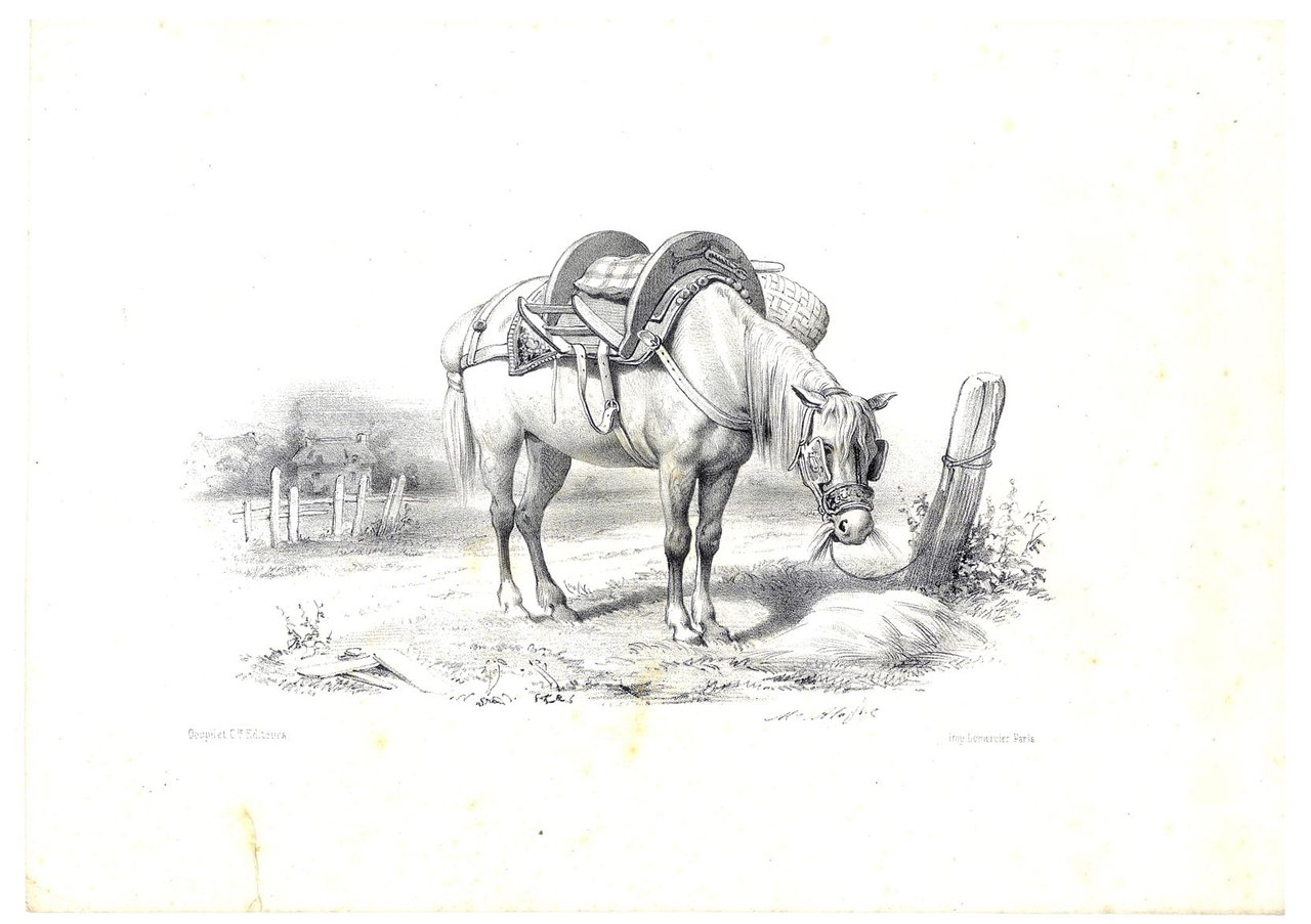 Gravure de cheval du peintre, lithographe et photographe français Marie …