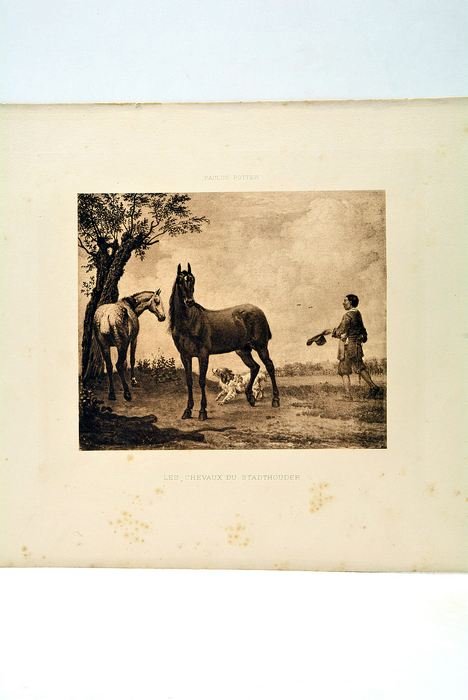 Gravure Les Chevaux du Stadthouder du peintre animalier néerlandais Paulus …