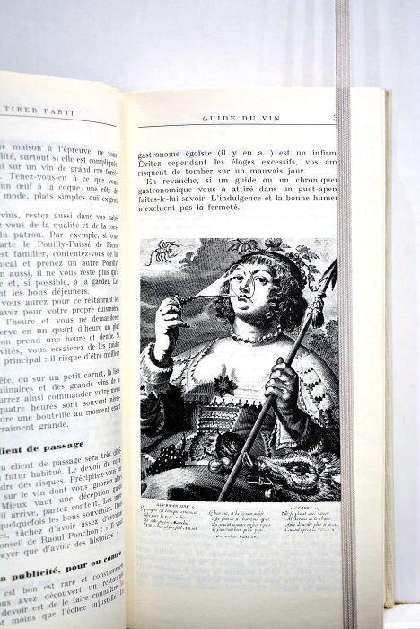 Guide du vin. Préface de Peter Townsend.