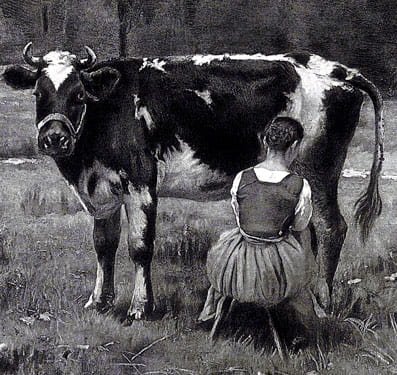 Heliogravure L'heure de la traite d'après l'oeuvre du peintre naturaliste …