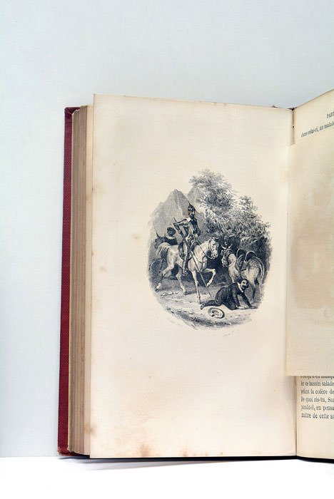 Histoire de Don Quichotte de la Manche. Traduite sur le …