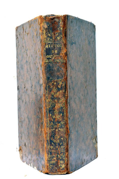 Histoire de l'admirable Dom Inigo de Guipuscoa, Chevalier de la …