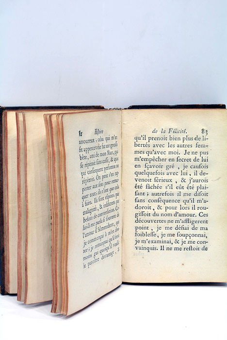 Histoire de la Félicité.