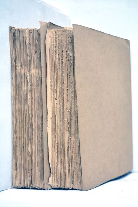 Histoire de la Gaule.