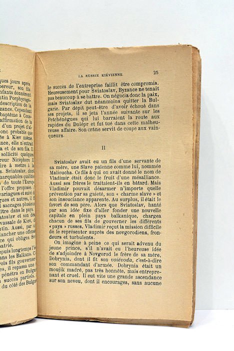 Histoire de Russie. Dei providentia et hominum confusione Ruthenia ducitur.