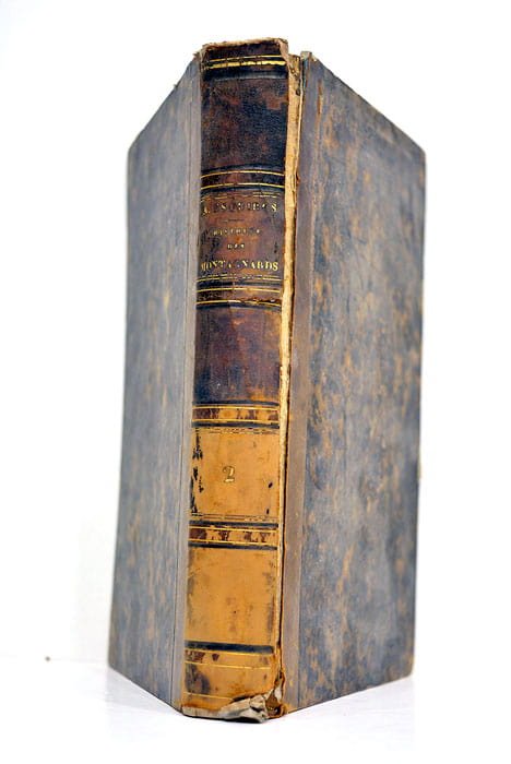 Histoire des montagnards.