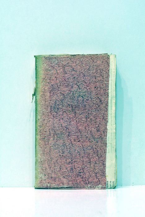 Histoire naturelle de Buffon mise dans un nouvel ordre; précédé …