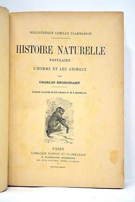 Histoire naturelle populaire. L'homme et les animaux. Ouvrage illustré de …