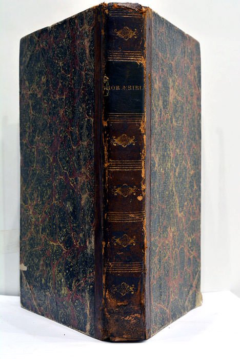 Horae Biblicae ou recherches littéraires sur la Bible, son texte …