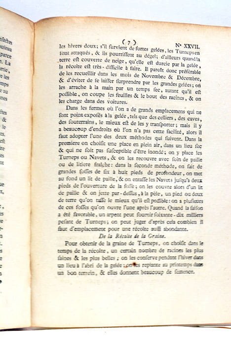 INSTRUCTION sur la culture des Turneps ou gros Navets. Imprimé …