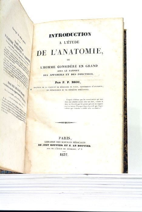 Introduction à l'Etude de l'Anatomie, ou l'Homme considéré en grand …