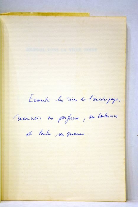 Journal dans la ville noire.