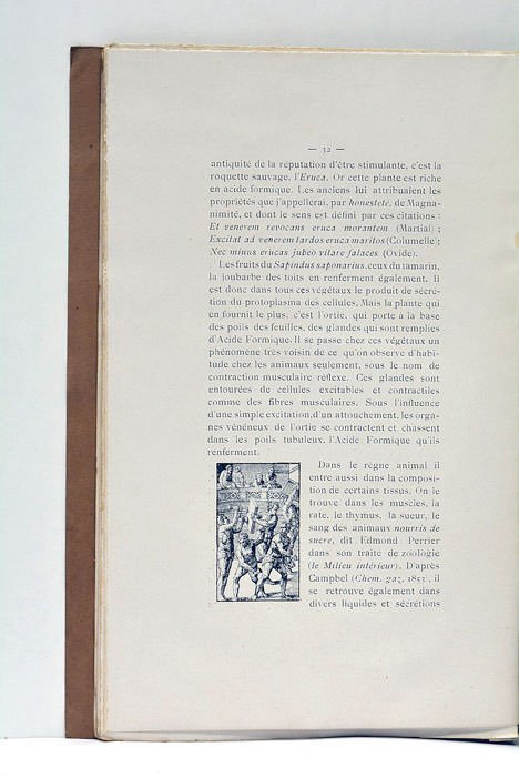 L'Acide Formique et la Force Musculaire.