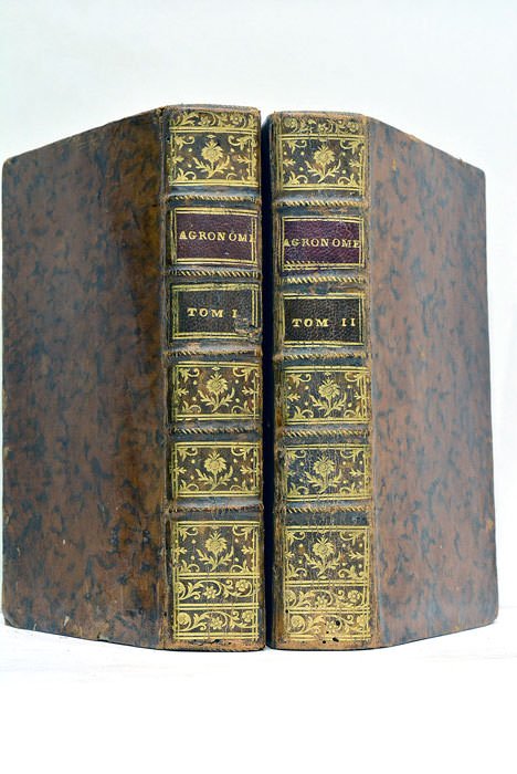 L'Agronome ou Dictionnaire portatif du cultivateur contenant toutes les connoissances …