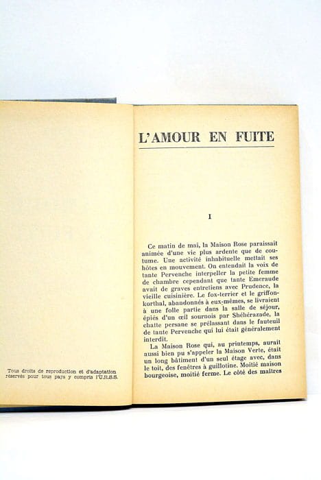L'amour en fuite.