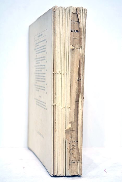 L'art dans la parure et dans le vêtement.