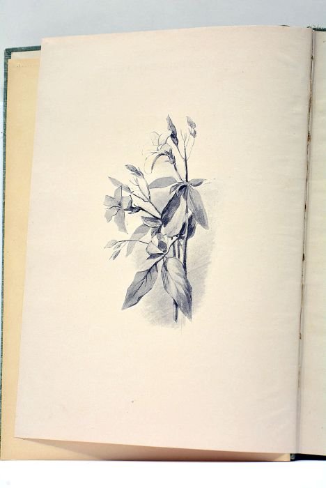 L'Avril. La confession posthume. Illustrations d'après les aquarelles de Laurent-Desrousseaux.