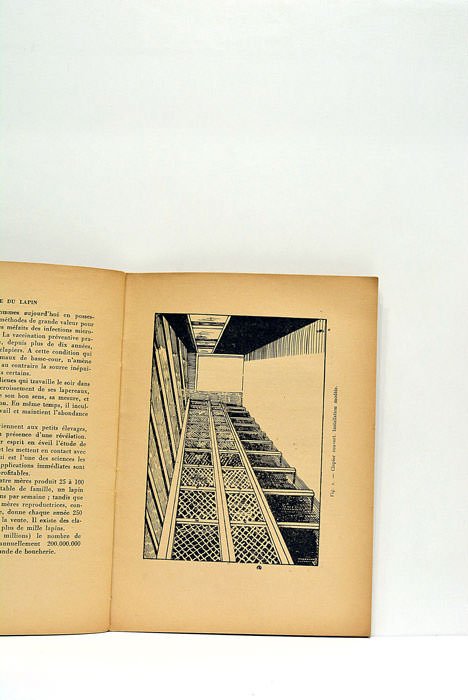 L'élevage du lapin.