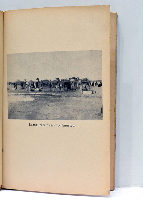 L'Épopée du Transsaharien.