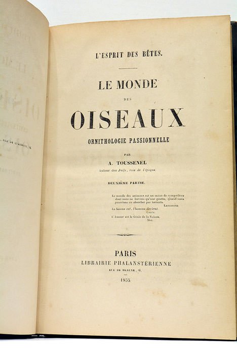 L'Esprit des Bêtes. Le Monde des Oiseaux. Ornithologie Passionnelle.