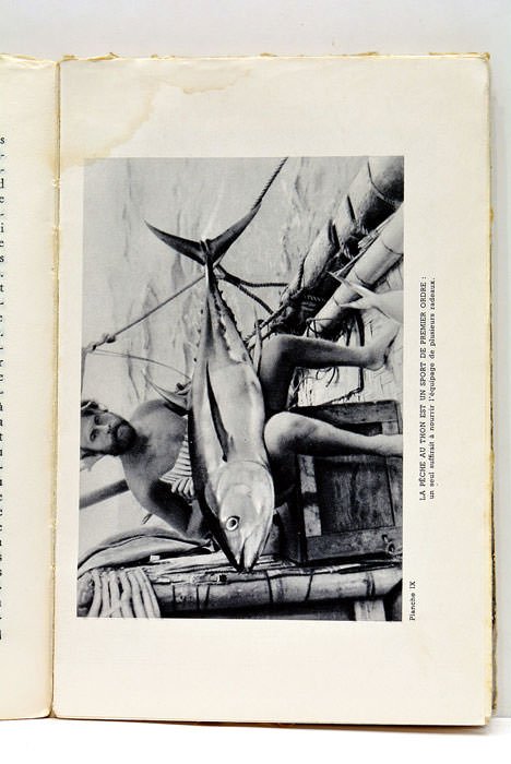 L'expédition du "Kon-Tiki" sur un radeau à travers le Pacifique. …