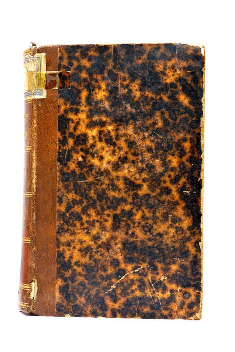 L'Insecte. L'infini vivant. Huitième édition.