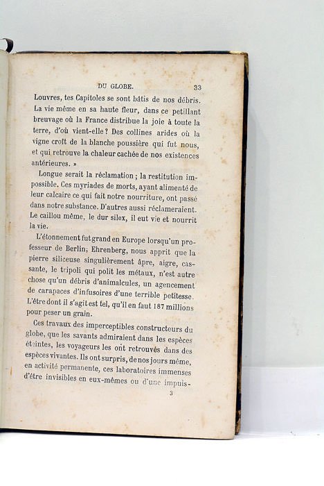 L'Insecte. L'infini vivant. Huitième édition.