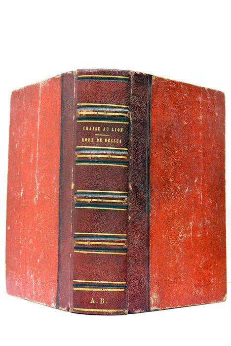 La chasse au lion. Ornée de gravures dessinées par Gustave …