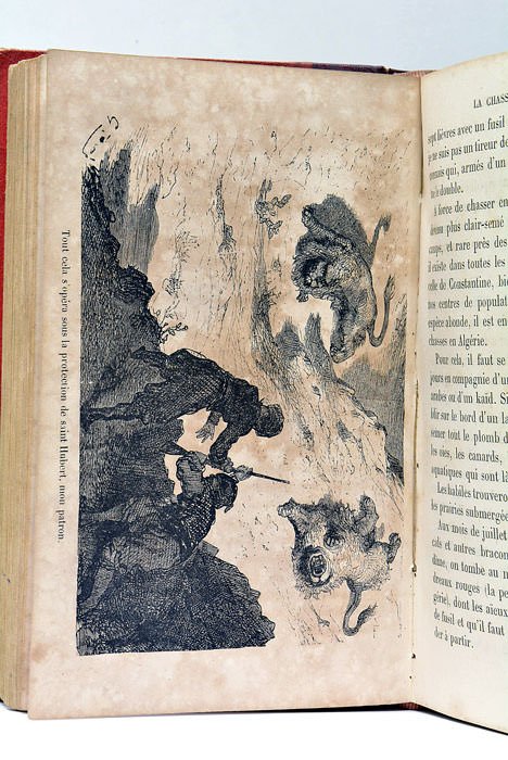 La chasse au lion. Ornée de gravures dessinées par Gustave …