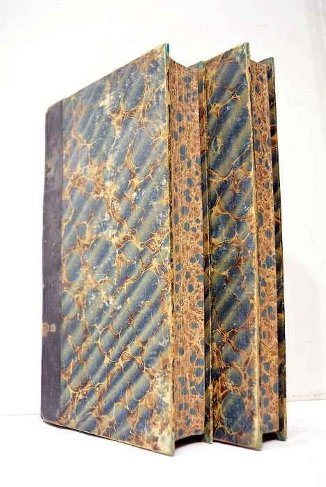 La Chute d'un Ange. Episode. Deuxième édition.