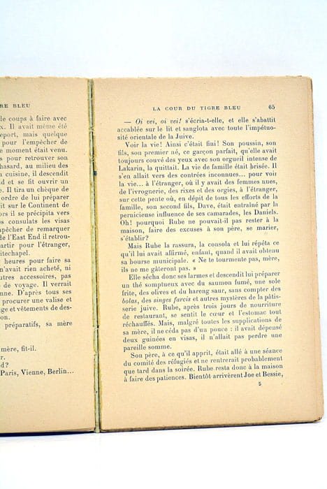 La cour du tigre bleu.