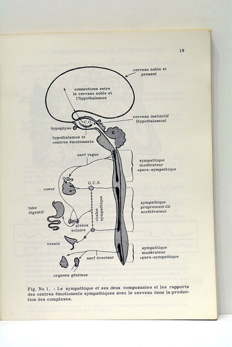 La Défaillance Sexuelle. Ses causes, ses remèdes, son histoire. Deuxième …