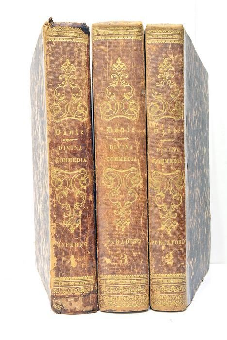 La Divina Commedia di Dante Alighieri con Varie Annotazioni, copiosi …