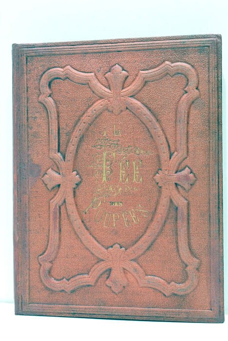 La Fée des Poupées Texte Illustré de Quinze Grands Dessins …