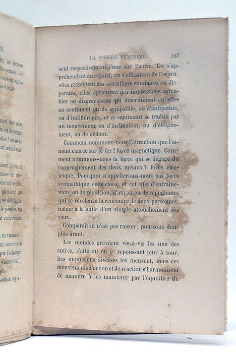 La figure féminine au XIXe siècle. L'esprit de la dot.