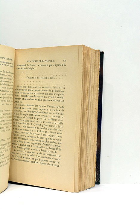La France se sauve elle-même. De Juillet à mi-novembre 1914.