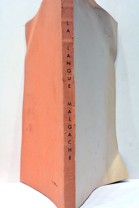 La Langue Malgache en 30 familles de mots. Essai de …