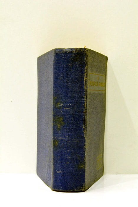 La médication française. Guide thérapeutique des spécialités pharmaceutiques françaises.