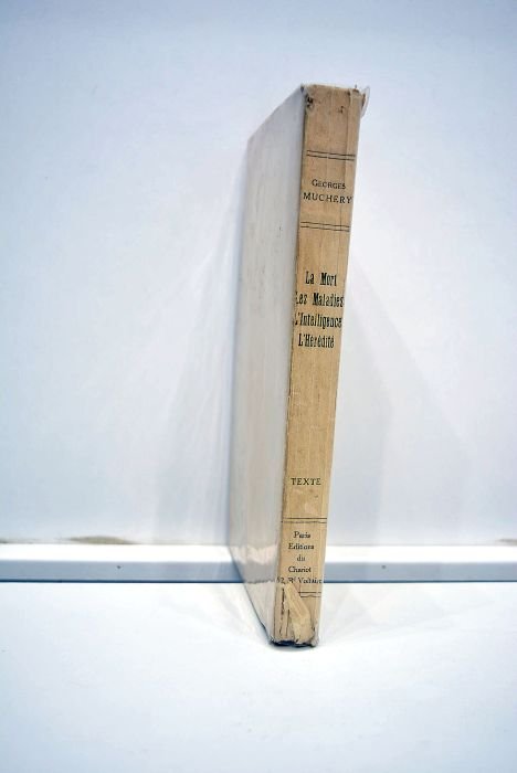 La mort, les maladies, l'intelligence, l'hérédité indiquées immédiatement par l'analyse …