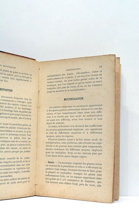 La mosaïculture. Histoire et considérations générales choix des couleurs. Tracé. …