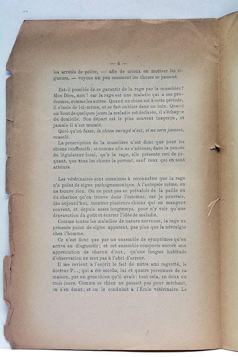 La Muselière et la Vaccination Rabique.