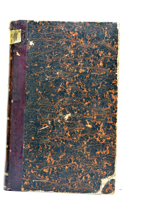 La première armée de la Loire.