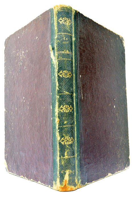 La sonnambula. Melodramma in 2 atti di F. Romani. Canto …