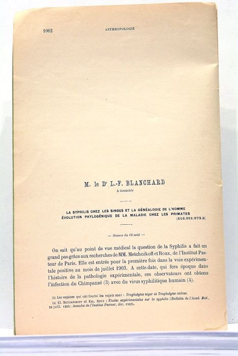 La syphilis chez les singes et la généalogie de l'Homme. …