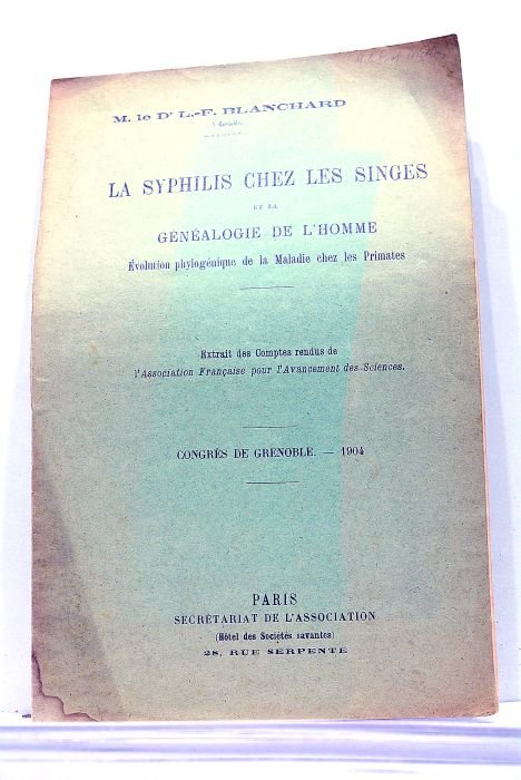 La syphilis chez les singes et la généalogie de l'Homme. …