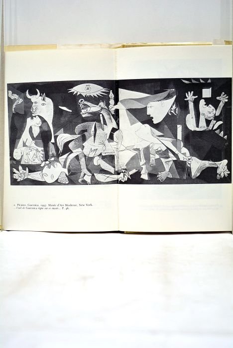 La tête d'obsidienne.