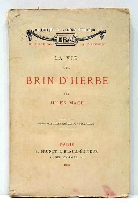 La vie d'un brin d'herbe.
